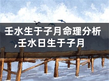 壬水生于子月命理分析,壬水日生于子月