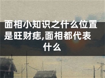 面相小知识之什么位置是旺财痣,面相都代表什么