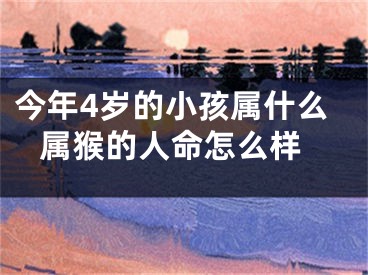 今年4岁的小孩属什么 属猴的人命怎么样