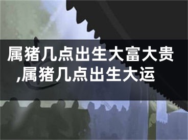 属猪几点出生大富大贵,属猪几点出生大运