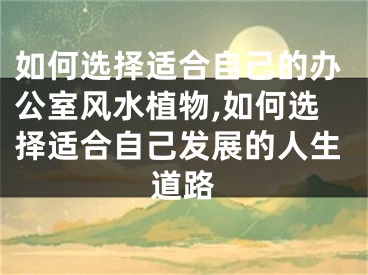 如何选择适合自己的办公室风水植物,如何选择适合自己发展的人生道路