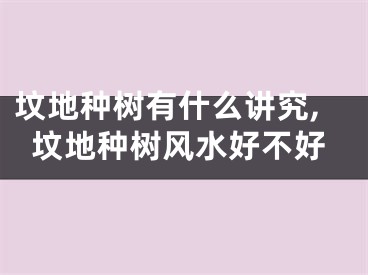 坟地种树有什么讲究,坟地种树风水好不好
