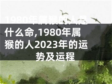 1980年属猴的人是什么命,1980年属猴的人2023年的运势及运程