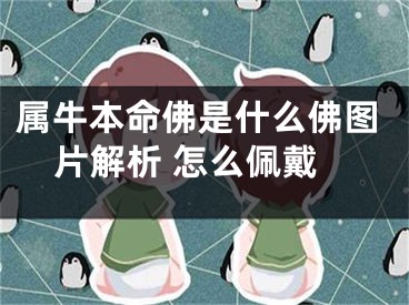 属牛本命佛是什么佛图片解析 怎么佩戴