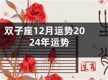 双子座12月运势2024年运势