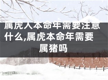 属虎人本命年需要注意什么,属虎本命年需要属猪吗