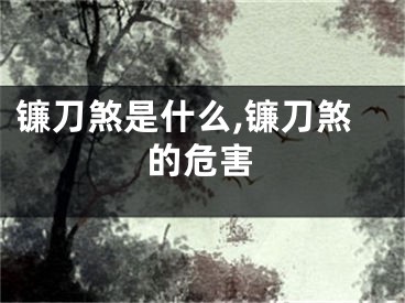 镰刀煞是什么,镰刀煞的危害