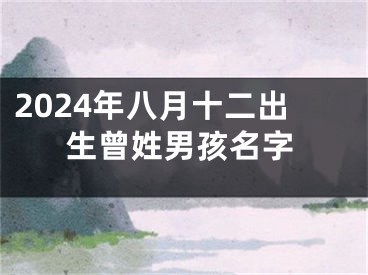 2024年八月十二出生曾姓男孩名字
