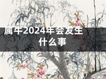 属牛2024年会发生什么事