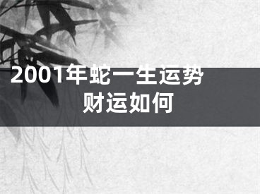 2001年蛇一生运势财运如何