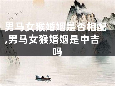 男马女猴婚姻是否相配,男马女猴婚姻是中吉吗