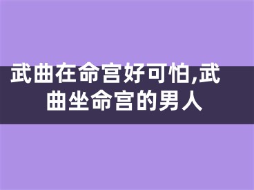 武曲在命宫好可怕,武曲坐命宫的男人