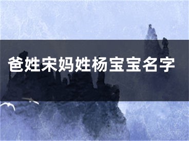 爸姓宋妈姓杨宝宝名字