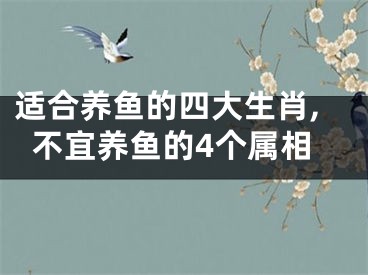 适合养鱼的四大生肖,不宜养鱼的4个属相
