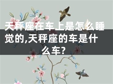 天秤座在车上是怎么睡觉的,天秤座的车是什么车?