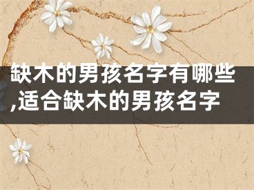 缺木的男孩名字有哪些,适合缺木的男孩名字