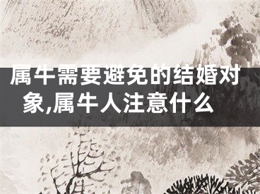 属牛需要避免的结婚对象,属牛人注意什么