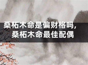桑柘木命是偏财格吗,桑柘木命最佳配偶