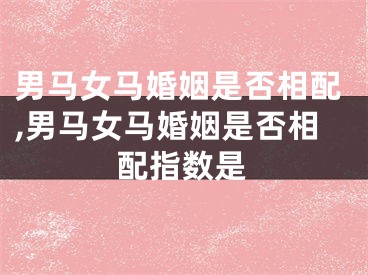 男马女马婚姻是否相配,男马女马婚姻是否相配指数是