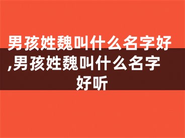 男孩姓魏叫什么名字好,男孩姓魏叫什么名字好听