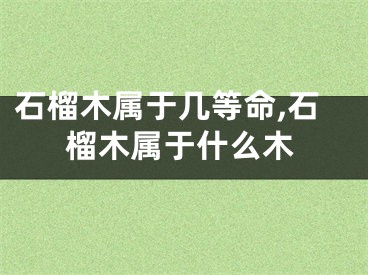 石榴木属于几等命,石榴木属于什么木