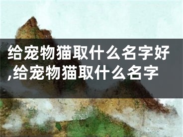 给宠物猫取什么名字好,给宠物猫取什么名字