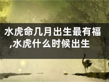 水虎命几月出生最有福,水虎什么时候出生