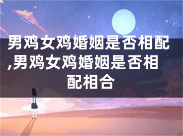 男鸡女鸡婚姻是否相配,男鸡女鸡婚姻是否相配相合