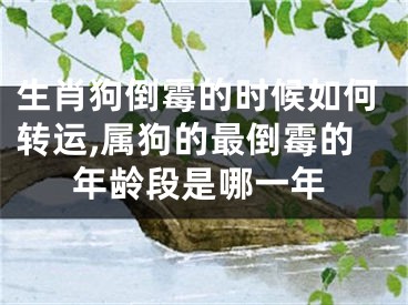 生肖狗倒霉的时候如何转运,属狗的最倒霉的年龄段是哪一年