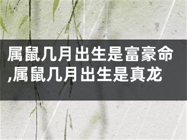 属鼠几月出生是富豪命,属鼠几月出生是真龙