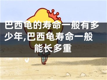 巴西龟的寿命一般有多少年,巴西龟寿命一般能长多重