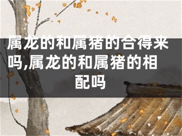 属龙的和属猪的合得来吗,属龙的和属猪的相配吗