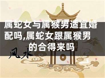 属蛇女与属猴男适宜婚配吗,属蛇女跟属猴男的合得来吗