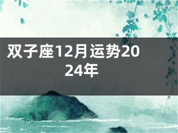 双子座12月运势2024年