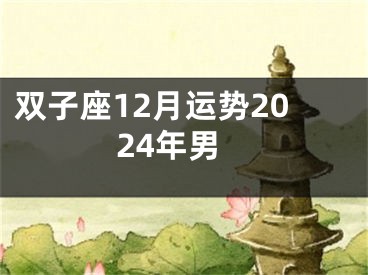 双子座12月运势2024年男