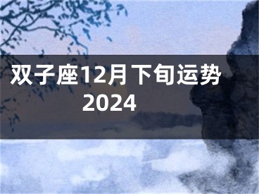 双子座12月下旬运势2024