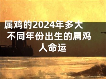 属鸡的2024年多大 不同年份出生的属鸡人命运