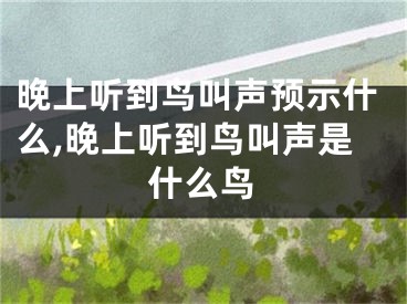 晚上听到鸟叫声预示什么,晚上听到鸟叫声是什么鸟
