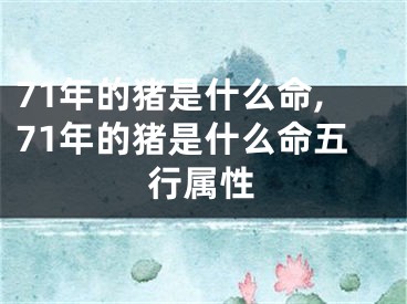 71年的猪是什么命,71年的猪是什么命五行属性