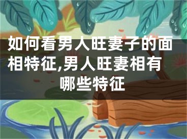 如何看男人旺妻子的面相特征,男人旺妻相有哪些特征