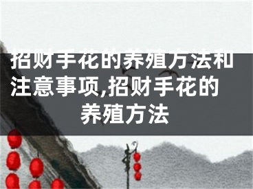 招财手花的养殖方法和注意事项,招财手花的养殖方法