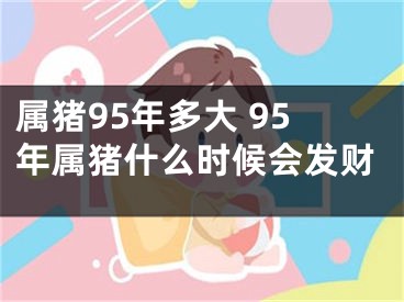 属猪95年多大 95年属猪什么时候会发财