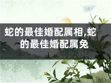 蛇的最佳婚配属相,蛇的最佳婚配属兔