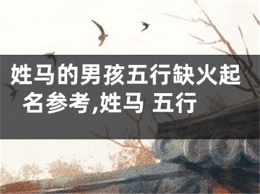 姓马的男孩五行缺火起名参考,姓马 五行