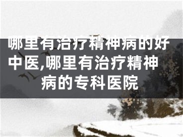 哪里有治疗精神病的好中医,哪里有治疗精神病的专科医院
