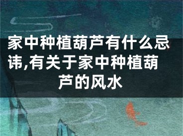 家中种植葫芦有什么忌讳,有关于家中种植葫芦的风水