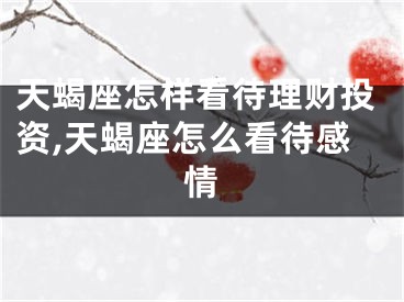 天蝎座怎样看待理财投资,天蝎座怎么看待感情
