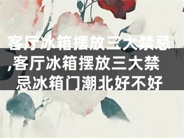 客厅冰箱摆放三大禁忌,客厅冰箱摆放三大禁忌冰箱门潮北好不好