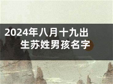 2024年八月十九出生苏姓男孩名字