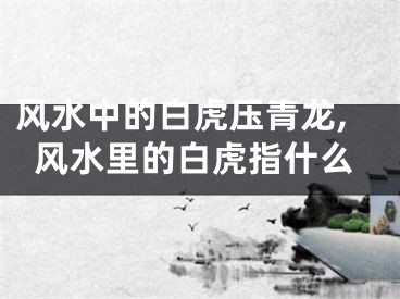 风水中的白虎压青龙,风水里的白虎指什么